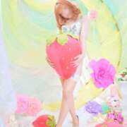 ヒメ日記 2026/04/24 19:01 投稿 わかめ【極上スタイル美女】 ポニーテール和歌山店