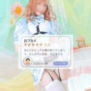 ヒメ日記 2026/04/25 17:48 投稿 わかめ【極上スタイル美女】 ポニーテール和歌山店