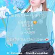 ヒメ日記 2026/06/04 08:28 投稿 わかめ【極上スタイル美女】 ポニーテール和歌山店