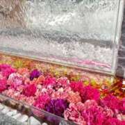 ヒメ日記 2026/02/21 23:45 投稿 のえる ニュー姫