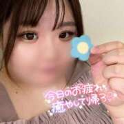 ヒメ日記 2026/04/29 14:51 投稿 はるか★癒し系ミケポ ぽっちゃり女神 あぷろでぃーて