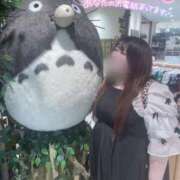 ヒメ日記 2026/06/29 17:47 投稿 はるか★癒し系ミケポ ぽっちゃり女神 あぷろでぃーて