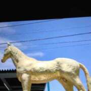 ヒメ日記 2026/02/21 17:38 投稿 美咲（みさき） 松戸デリヘル　熟女ヘブン