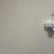 ヒメ日記 2026/03/02 11:53 投稿 かい★ド変態眼鏡っ子！ 立川女学園