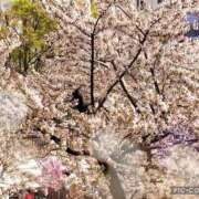 ヒメ日記 2026/03/31 18:13 投稿 かい★ド変態眼鏡っ子！ 立川女学園