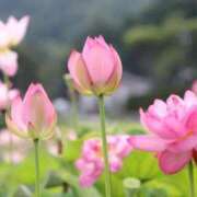 ヒメ日記 2026/03/06 10:01 投稿 綾見（アヤミ） アバンチュール(五反田)