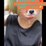 ヒメ日記 2026/03/24 15:35 投稿 とおこ 熟女家 ミナミエリア店