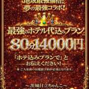 ヒメ日記 2026/03/14 16:19 投稿 こはる 茨城日立ちゃんこ
