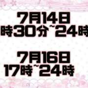 ヒメ日記 2026/07/14 14:09 投稿 こはる 茨城日立ちゃんこ