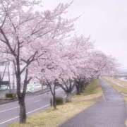 ヒメ日記 2026/04/04 20:02 投稿 一花 人妻の出会い