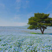 ヒメ日記 2026/04/18 21:46 投稿 一花 人妻の出会い