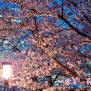 ヒメ日記 2026/03/27 16:01 投稿 紫月 莉奈 横浜貴楼館