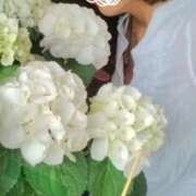 ヒメ日記 2026/02/19 21:48 投稿 (新人)りかこ エレガンス(広島)