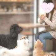 ヒメ日記 2026/02/22 11:56 投稿 長谷部-はせべ- ただ離婚してないだけ