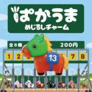 ヒメ日記 2026/03/14 17:36 投稿 長谷部-はせべ- ただ離婚してないだけ
