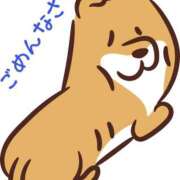 長谷部-はせべ- ごめんなさい😞 ただ離婚してないだけ