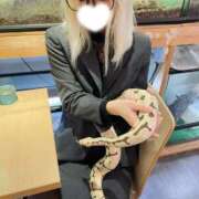 ヒメ日記 2026/03/30 12:01 投稿 白金　える 渋谷ベリー