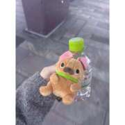 ヒメ日記 2026/03/23 19:07 投稿 神宮寺 あすか Canx2京都店