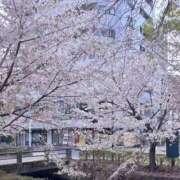 ヒメ日記 2026/04/22 18:47 投稿 神宮寺 あすか Canx2京都店