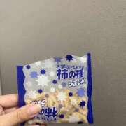 ヒメ日記 2026/03/08 15:33 投稿 ましろ コーチと私と、ビート板･･･