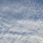 かぐや かぐや（スピード梅田店） スピード梅田店