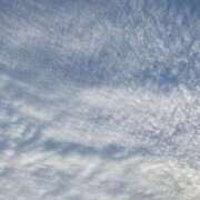 かぐや かぐや（スピード梅田店） スピード梅田店