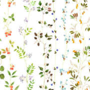 ヒメ日記 2026/03/05 03:41 投稿 みなみ 東京♂風俗の神様 町田・相模原店