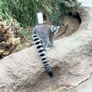 ヒメ日記 2026/04/04 10:41 投稿 みなみ 東京♂風俗の神様 町田・相模原店