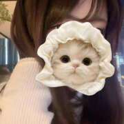 ヒメ日記 2026/02/22 11:37 投稿 まいか【Maika】 The Date SHINAGAWA Premier【ザ・デート品川プレミア】