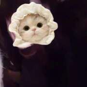 ヒメ日記 2026/02/25 19:47 投稿 まいか【Maika】 The Date SHINAGAWA Premier【ザ・デート品川プレミア】