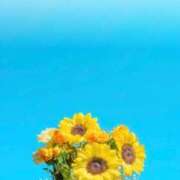 ヒメ日記 2026/02/24 08:45 投稿 あず ナチュラルプリンセス