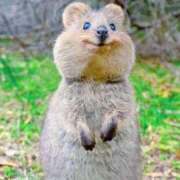 ヒメ日記 2026/04/15 13:55 投稿 あず ナチュラルプリンセス