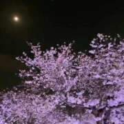 ヒメ日記 2026/03/31 13:14 投稿 てんし 一宮稲沢小牧ちゃんこ