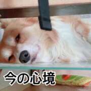 ヒメ日記 2026/04/02 09:34 投稿 てんし 一宮稲沢小牧ちゃんこ