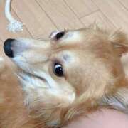 ヒメ日記 2026/08/04 17:44 投稿 てんし 一宮稲沢小牧ちゃんこ