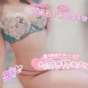 ヒメ日記 2026/02/17 12:30 投稿 さな 厚木人妻城