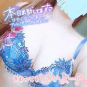 ヒメ日記 2026/04/14 12:42 投稿 さな 厚木人妻城