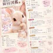 ヒメ日記 2026/09/13 21:15 投稿 アンズ秘書 秘書の品格 クラブアッシュ ヴァリエ