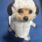 ヒメ日記 2026/02/20 14:22 投稿 ユミ MEGA PALACE(メガパレス）