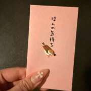 ヒメ日記 2026/02/23 14:13 投稿 ユミ MEGA PALACE(メガパレス）