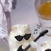 ヒメ日記 2026/03/12 22:02 投稿 やね【シルバーアロー】 Arrows 苫小牧・千歳店