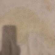 ヒメ日記 2026/03/21 16:07 投稿 西島 かな Canx2京都店