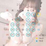 ヒメ日記 2026/04/04 05:25 投稿 ひなた すごいエステ 名古屋店