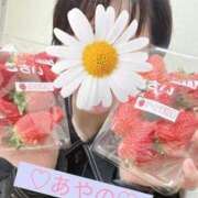 ヒメ日記 2026/03/01 18:58 投稿 彩乃(あやの) カリビアンマッサージ 天使のゆびさき 岡山店