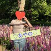 ヒメ日記 2026/05/30 16:34 投稿 彩乃(あやの) カリビアンマッサージ 天使のゆびさき 岡山店
