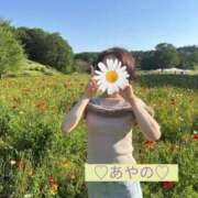 ヒメ日記 2026/06/03 18:04 投稿 彩乃(あやの) カリビアンマッサージ 天使のゆびさき 岡山店