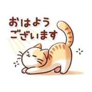 ヒメ日記 2026/02/14 09:27 投稿 れんか ベイキュート