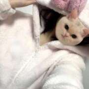 ヒメ日記 2026/02/16 22:27 投稿 れんか ベイキュート