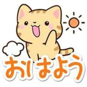 ヒメ日記 2026/06/06 08:27 投稿 れんか ベイキュート