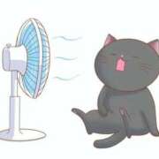 れんか このあと🈳14:30~ ベイキュート
